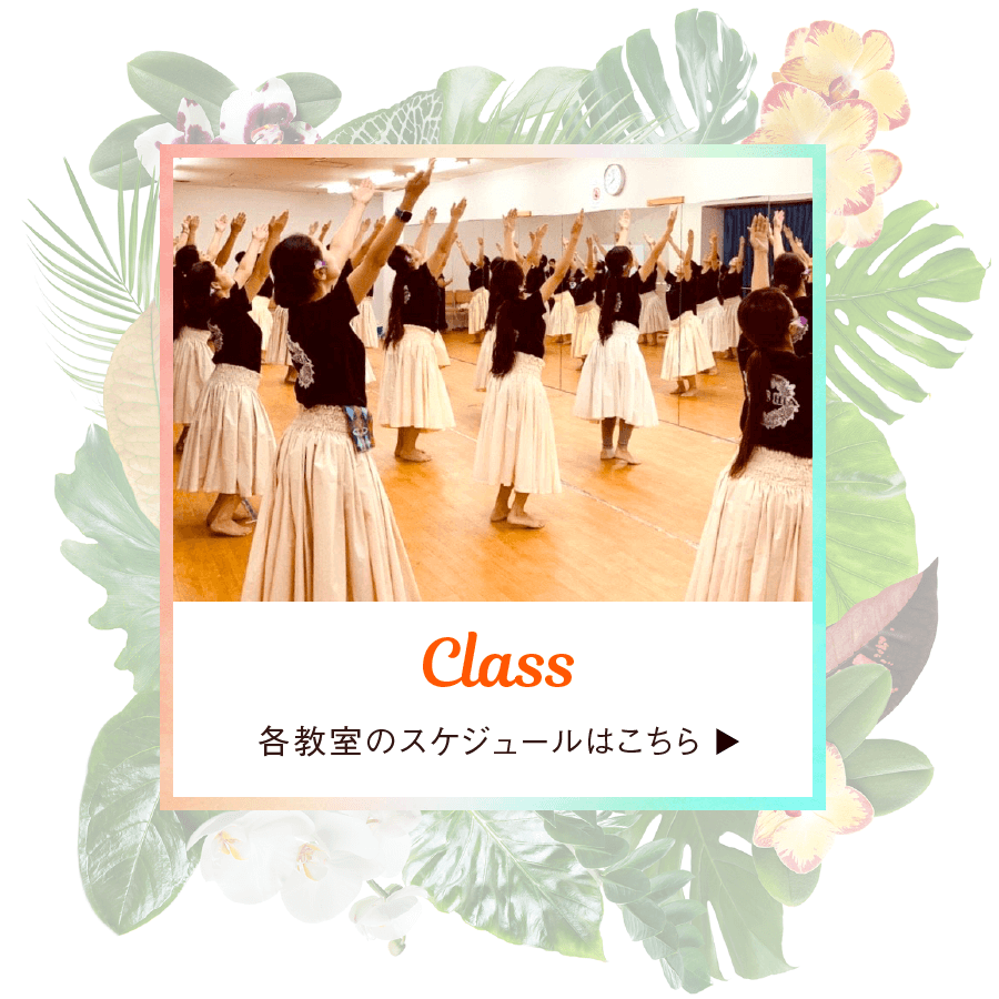 各教室のスケジュールはこちら｜東京・茨城のフラダンス・タヒチアンダンス教室｜ヘレヒアポリネシアンダンススタジオ｜